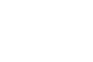 napit-logo-white