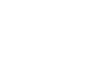 hies-logo-white